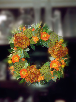 Silk-wreath-hy,-poppy