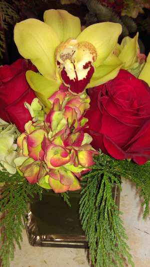 cymbidium and red roses sq $65