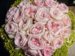 pink-ohara-rose-and-green-hyd-$175